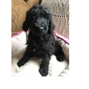 Meet your Posher, Elisa